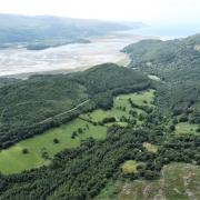 The Johnson family has managed the Cae Gwian Forestry Estate, located at Bontddu, Barmouth on the Afon Mawddach estuary in Gwynedd, since 1991