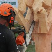 Chainsaw carving drew in large crowds