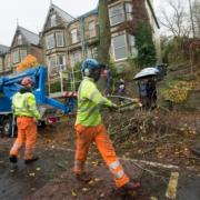 Thousands of trees were felled during the saga