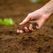 Two thirds of UK soils deficient in key nutrients, survey shows