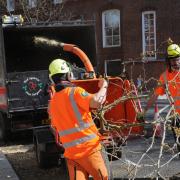 Arborists can now use red diesel for tree work in streets and alongside roads - but only after a year-long fight