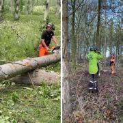 Courses include working with powered tools such as pole pruners and chainsaws