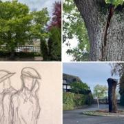 Views of the Verdun Oak over time, and the planned design for its remaining trunk (supplied with application)