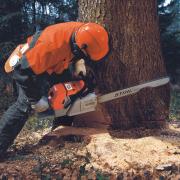 Forestry contractors face steep costs just to stay afloat