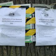 The notices appeared on the tree recently