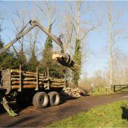 Alfie Williams, tractor driver and landscape technician, with five tonnes of recently thinned ash from Linford Wood, uses the remote control to operate the Farma T12 forwarding trailer crane arm.