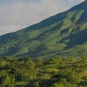 Ethical Forestry Ltd operated tree plantations in Costa Rica