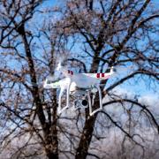Drones are becoming more powerful all the time - and a more common site in UK woodlands.