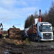 Alternatives to traditional haulage are being actively pursued.
