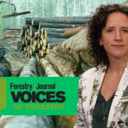 Mairi Gougeon has responded to the budget in an exclusive column for Forestry Journal