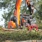 The Waratah H212 weighs only 770 kg (without rotator and link). It can fell and process trees up to 52 cm in diameter. It is said to be particularly agile in dense stands of small-diameter timber. The carrier is a Doosan DX140LCR.