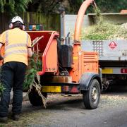 Arborists across the country continue to play an important role
