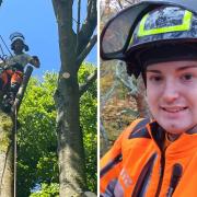 Kevin Pearson, left, and Harry Evans have been named as this year's trees and timber finalists