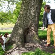 Sika, arb’s most famous (and possibly only) decay-detecting dog, and her owner, Ivan Button.