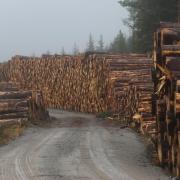 Scotland's timber industry supports tens of thousands of jobs