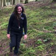A beat forester with NRW, Ellen Humphrey is loving life in forestry