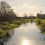 No English rivers are in a good overall condition