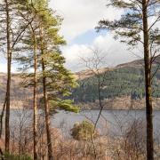 Tarbet Isle Forest is one of the new locations for Stay the Night this season.