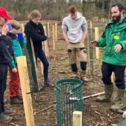 The Silk Wood Community Planting Project aims to combat the loss of trees after a mass tree felling in 2021