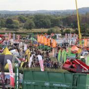 APF is the UK's largest forestry-focused event