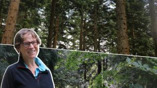 Kath McNulty is leading the restoration of a major part of Gwydir Forest Park