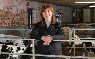 Welsh rural affairs secretary Lesley Griffiths says changes will be made to the sustainable farming scheme