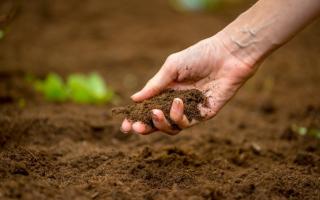 The EFRA committee will look at soil health