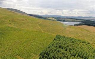 The initiative aims to raise awareness of the benefits that trees can bring to farming and crofting businesses
