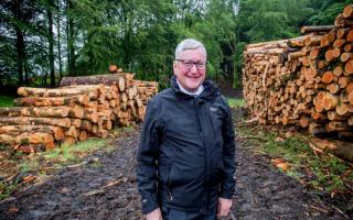 Fergus Ewing's previous cabinet secretary role included the forestry brief